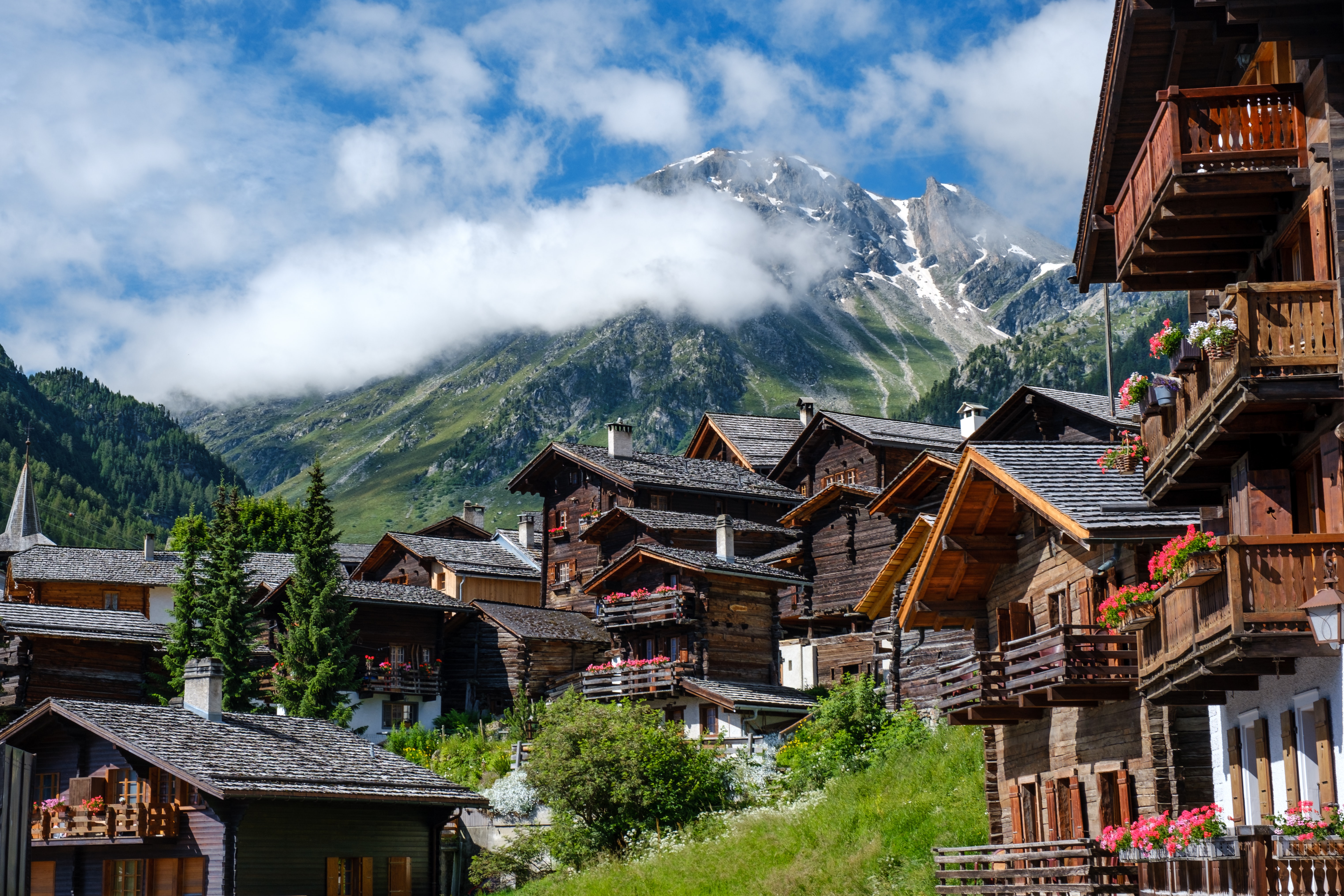 2 МЕСТА Швейцария — Альпийская пастораль